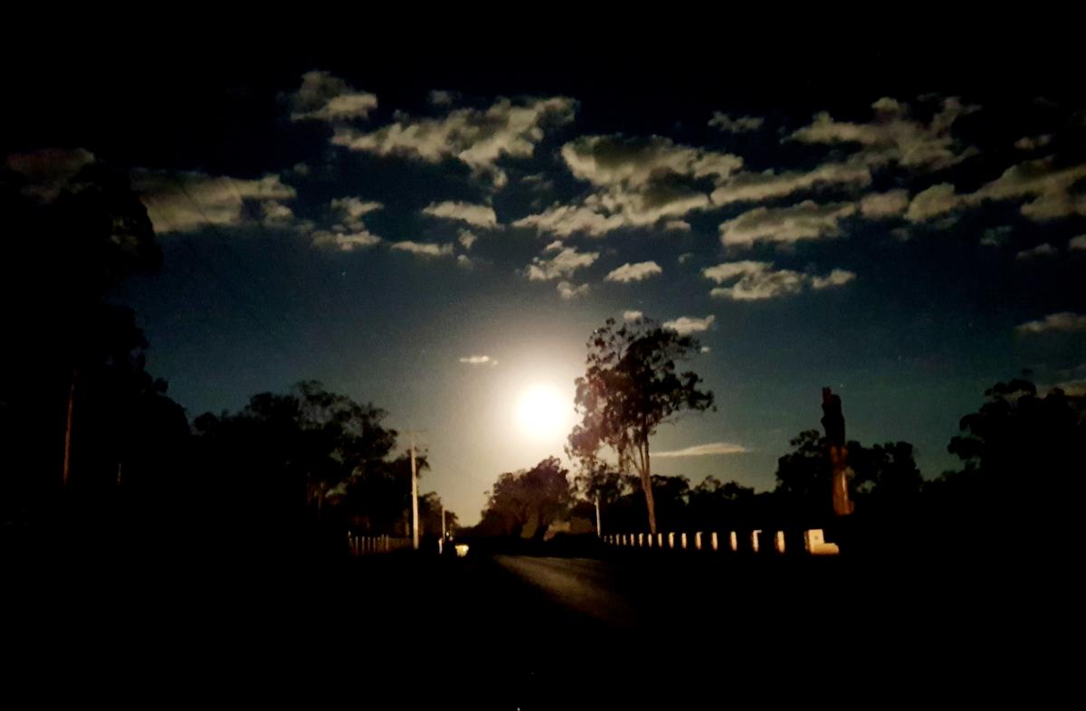 Wild Horizon
