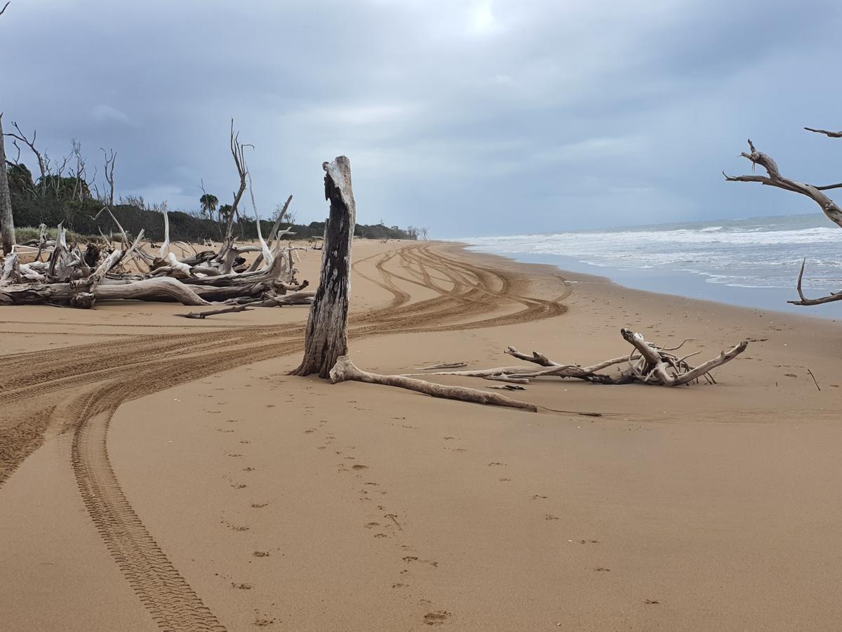 Wild Coast Track